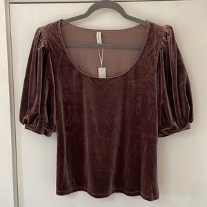 NWT Velvet Sable Bardot Blouse